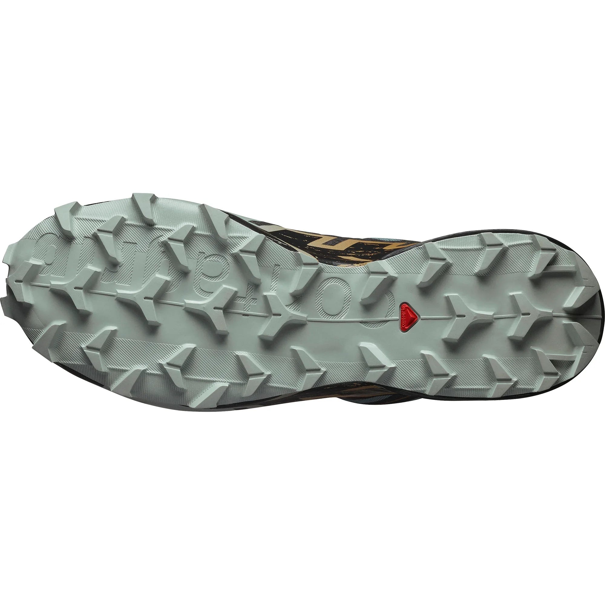 حذاء سالومون سبيد كروس 6 غور-تكس