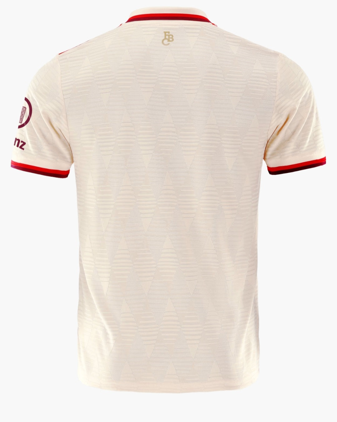 FC Bayern 24/25 Third Jersey