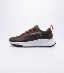 Nike Pegasus Trail 4