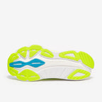 ساكوني هوريكين 24