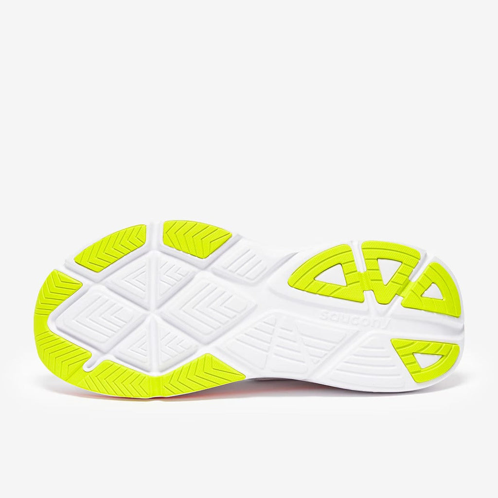 دليل ساكوني 18