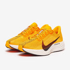 نايكي بيغاسوس بلس