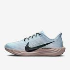 نايكي بيغاسوس بلس